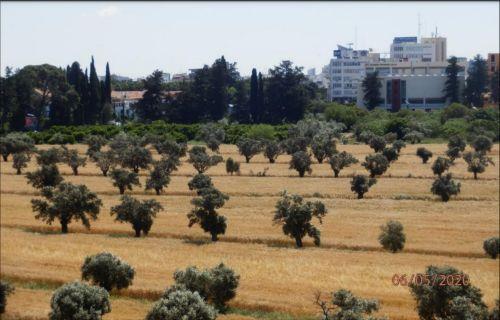Ευρωβουλευτές ενέκριναν μέτρα για προστασία βιολογικής παραγωγής τροφίμων