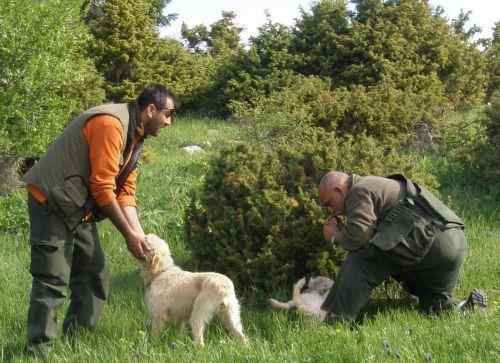 Έναρξη κυνηγετικής περιόδου για ενδημικό θήραμα την Κυριακή, λέει η Ομοσπονδία Κυνηγίου