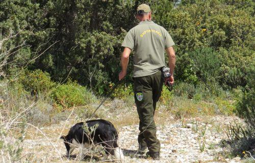 Απειλή για ζώα και δημόσια υγεία τα δηλητηριασμένα δολώματα, αναφέρουν BirdLife-Υπ. Θήρας