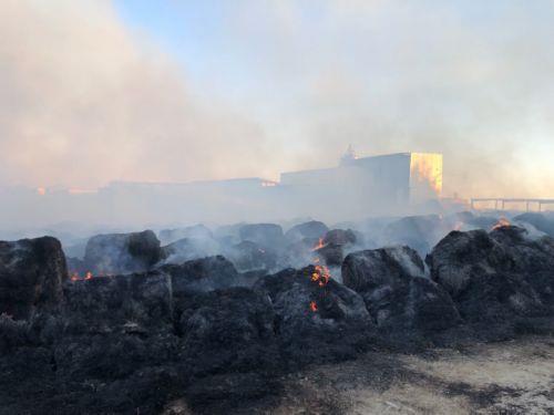 Κτηνοτροφική μονάδα στην περιοχή Μαρκί προστάτευσε η Πυροσβεστική τα ξημερώματα