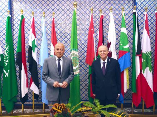 وزير الخارجية يجتمع مع الأمين العام لجامعة الدول العربية في القاهرة