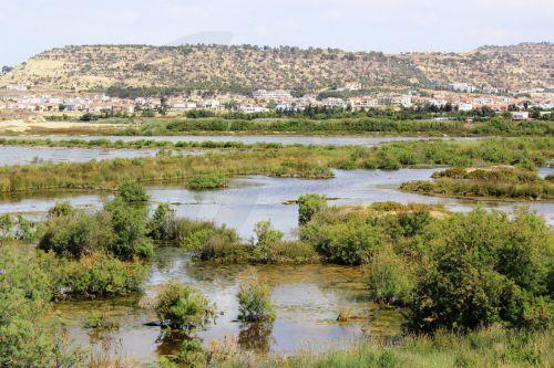 Doğa Restorasyonu Yasası yürürlüğe girdi