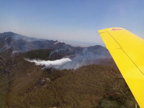 Two additional firefighting aircraft in Cyprus through the EU Civil Protection Mechanism