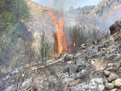 Υπό πλήρη έλεγχο πυρκαγιά που ξέσπασε σε περιοχή της κοινότητας Κλήρου