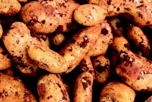 Cyprus and Greek Agriculture Ministers agreed on cracking down on counterfeit Cypriot potatoes