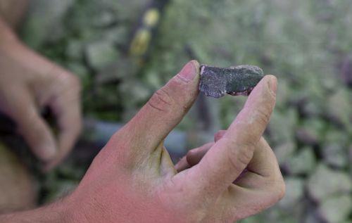 Eντοπίστηκαν απολιθώματα μικροσκοπικού δεινόσαυρου στην Ισπανία