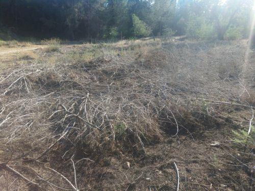 Μικρή έκταση με ξηρά χόρτα και χαμηλή βλάστηση έκαψε πυρκαγιά στις Αγγλισίδες