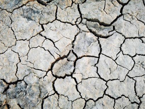 Ανομβρία: Τραγική για τους αγρότες η κατάσταση, εκτιμά ζημιές το Υπ. Γεωργίας, ψηλές οι τιμές για καταναλωτές