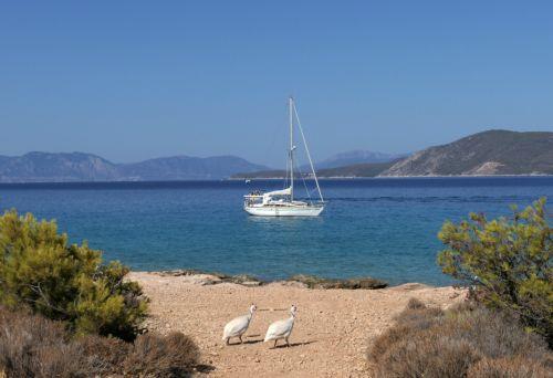 Η Λεμεσός φιλοξενεί τον Μάιο τους επίσημους εορτασμούς Ευρωπαϊκής Ημέρας Θάλασσας