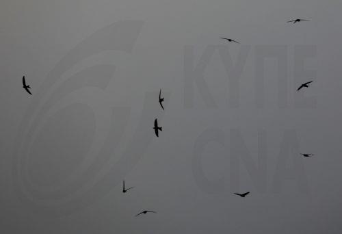 ​​​​​​​Kıbrıs’ta Hava Durumu