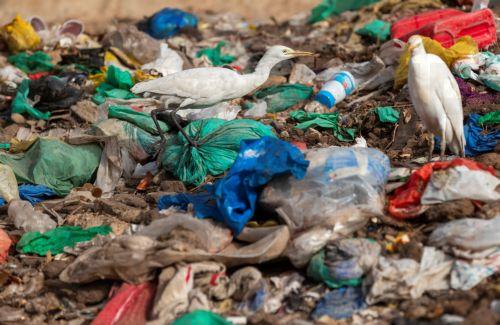 Αύξηση στα δημοτικά απόβλητα στην Κύπρο το 2024, σύμφωνα με την Eurostat