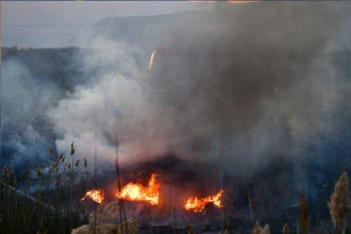 Υπό πλήρη έλεγχο η πυρκαγιά εντός Εθνικού Δασικού Πάρκου Παιδαγωγικής Ακαδημίας