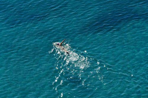 Άνοδος θερμοκρασίας και καλοκαιρία τα Θεοφάνεια, λέει στο ΚΥΠΕ Μετεωρολογικός Λειτουργός