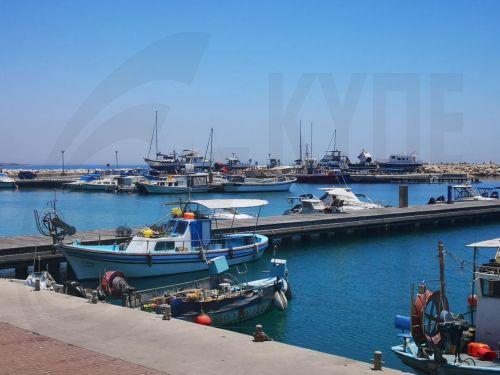 Προωθούνται πολιτικές για στήριξη εισοδήματος των αλιέων, είπε ο Υπ. Γεωργίας