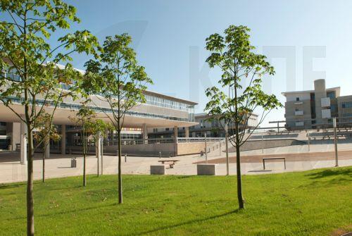 To Πανεπιστήμιο Κύπρου καλωσορίζει τους νέους φοιτητές στις 30 Ιουλίου