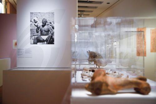 Έκθεση Γουέιν Τιμπό-αντίδοτο στους ιλιγγιώδεις ρυθμούς της εποχής