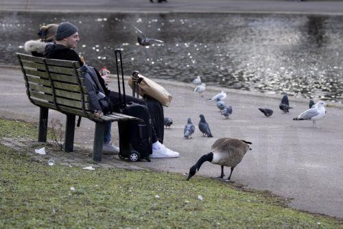 Στη χρήση αντιιικών ως εναλλακτική για τη γρίπη, αναφέρεται μελέτη του JRC
