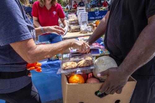 Τρόπους αντιμετώπισης της τεράστιας σπατάλης τροφίμων υπενθυμίζουν τα ΗΕ