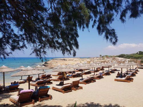 Early indications for 2026 bookings extremely encouraging, Tourism Deputy Minister says