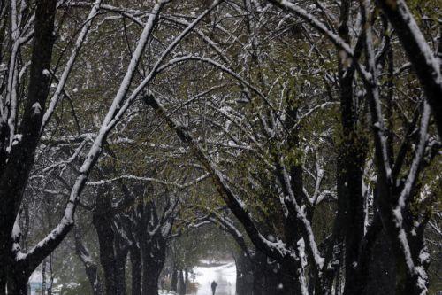 Χωρίς ρεύμα 10.000 καταναλωτές εξαιτίας των χιονοπτώσεων στη Σερβία