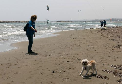 Kıbrıs’ta Hava Durumu