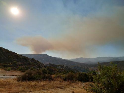 Υπό έλεγχο η πυρκαγιά στην ημιορεινή Λεμεσό, σε επιφυλακή οι δυνάμεις