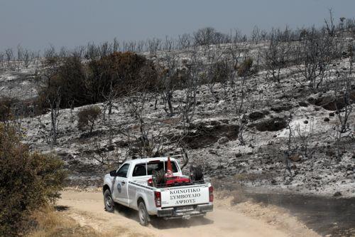 Υπό πλήρη έλεγχο η πυρκαγιά που ξέσπασε σε περιοχή της κοινότητας Κελλακίου