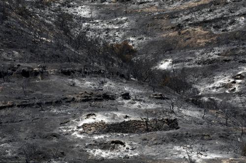 Ανάληψη πολιτικής ευθύνης με παραιτήσεις, ζητά η ΠΚΚ μετά τις καταστροφικές πυρκαγιές