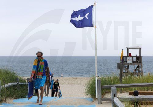 Eπιστήμονες διαπίστωσαν ότι καρχαρίες στις Μπαχάμες είχαν κοκαϊνη και άλλες ουσίες στο σώμα τους