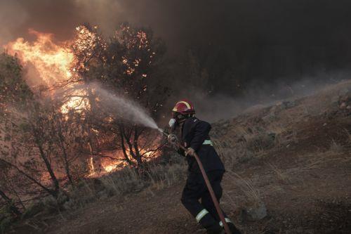 İtfaiye teşkilatı güçleniyor: 2025 için yeni yangınla mücadelede planı