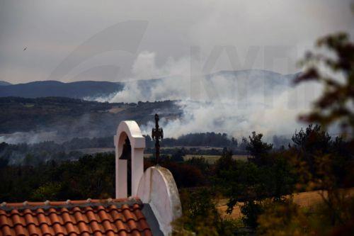 Φωτιά στον Ψεματισμένο έκαψε 6 δεκάρια άγριες ελιές και βλάστηση