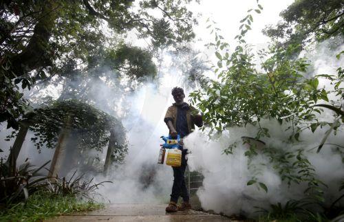 Λόγω ξηρασίας η πρώτη επιδημία κίτρινου πυρετού στη Βραζιλία εδώ και σχεδόν 80 χρόνια, λέει έρευνα