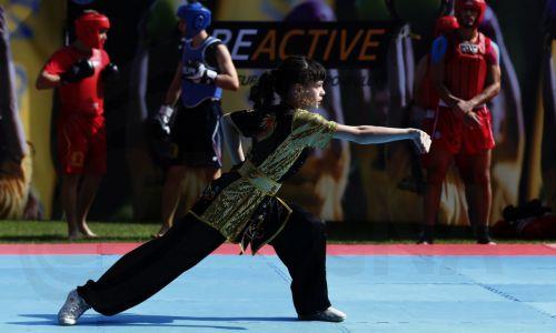 Δεκατρία μετάλλια για την Κύπρο στους Βαλκανικούς Αγώνες Wushu 2025