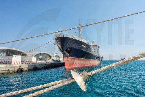 Αναφορά στις ψηλές χρεώσεις στα λιμάνια σε δείπνο Συνδέσμου Ναυτικών Πρακτόρων