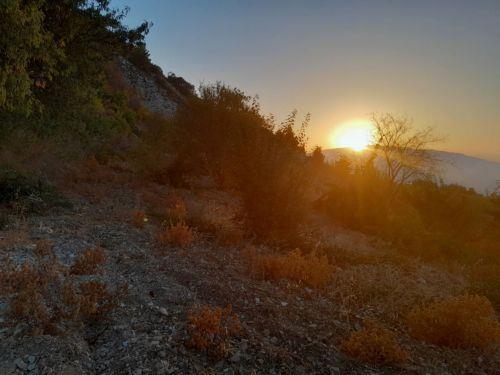 Υπό πλήρη έλεγχο η φωτιά στην Αναρίτα