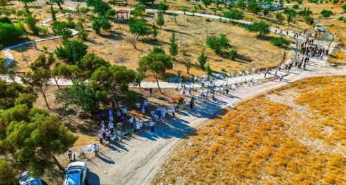 Thousands of new trees planted in hedgerows in Cyprus through European project