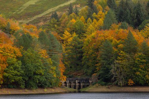 Προκηρύχθηκε ο διεθνής διαγωνισμός PhOETRY ΙII για επαγγελματίες και ερασιτέχνες φωτογράφους