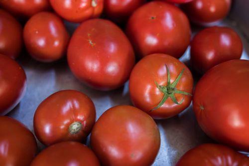 Πιστώσεις €2,9 εκατ. στην αναπτυξιακή εταιρεία επαρχίας Λεμεσού, είπε ο Α. Γρηγορίου