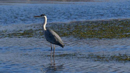 Σοβαρό κενό στην Πάφο λόγω απόφασης για κινητές μονάδες αφαλάτωσης λέει στο ΚΥΠΕ ο Μ. Λάμπρου