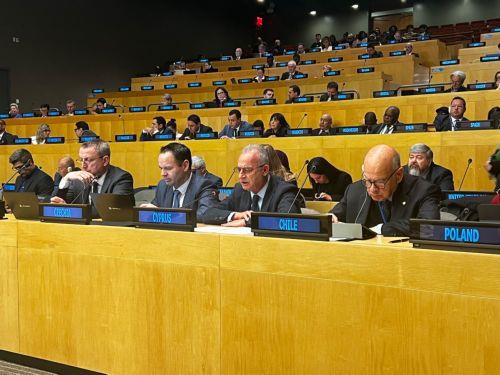 Ο Α. Νεοφύτου στην Κοινοβουλευτική Ακρόαση 2026 στη Νέα Υόρκη