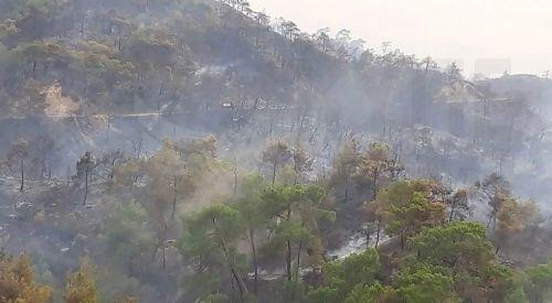 Υπό πλήρη έλεγχο πυρκαγιά στα όρια του κρατικού δάσους Τροόδους