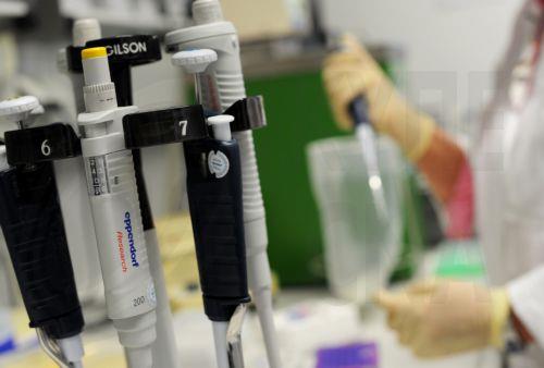 Συλλογική η ευθύνη προστασίας της νεφρικής υγείας λέει η Νεφρολογική Εταιρεία Κύπρου