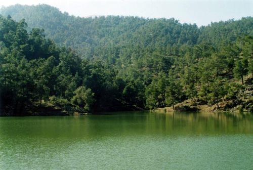 Μεταξύ 5-11 Μαΐου η «Εβδομάδα Προστασίας των Δασών»