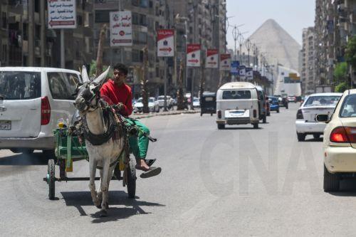 Στους 14 ανήλθε ο αριθμός των νεκρών από κατάρρευση πολυκατοικίας στην Αίγυπτο
