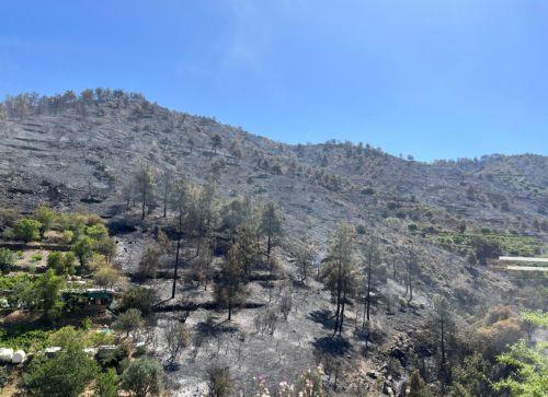 Σε εξέλιξη δασική πυρκαγιά σε περιοχή της κοινότητας Μανδριών Λεμεσού