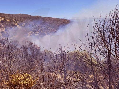 Cyprus conveys readiness to assist Greece in extinguishing fires