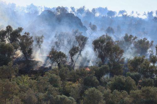 Την ετοιμότητα ΚΔ να συνδράμει για κατάσβεση πυρκαγιών διαβίβασε στις ελληνικές αρχές ο Αρχιπύραρχος