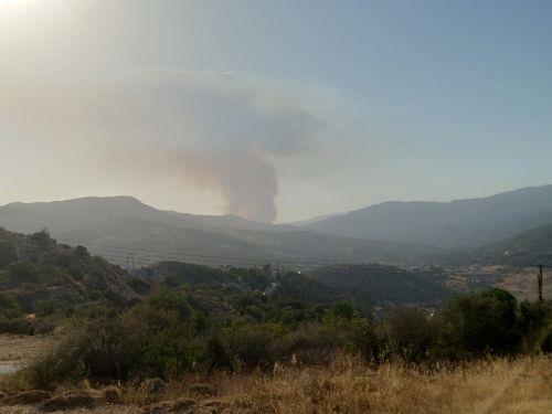 Υπό έλεγχο πυρκαγιά στη Λάνια, κάηκαν 20 εκτάρια