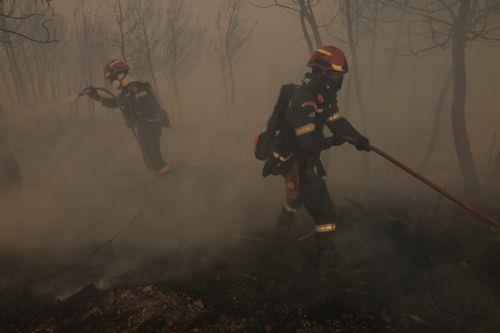 Ενισχύονται οι δυνάμεις στη πυρκαγιά που ξέσπασε στη Σταμάτα Αττικής