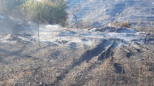 Υπό πλήρη έλεγχο πυρκαγιά στην κοινότητα Λυθροδόντα που προκάλεσε κεραυνός